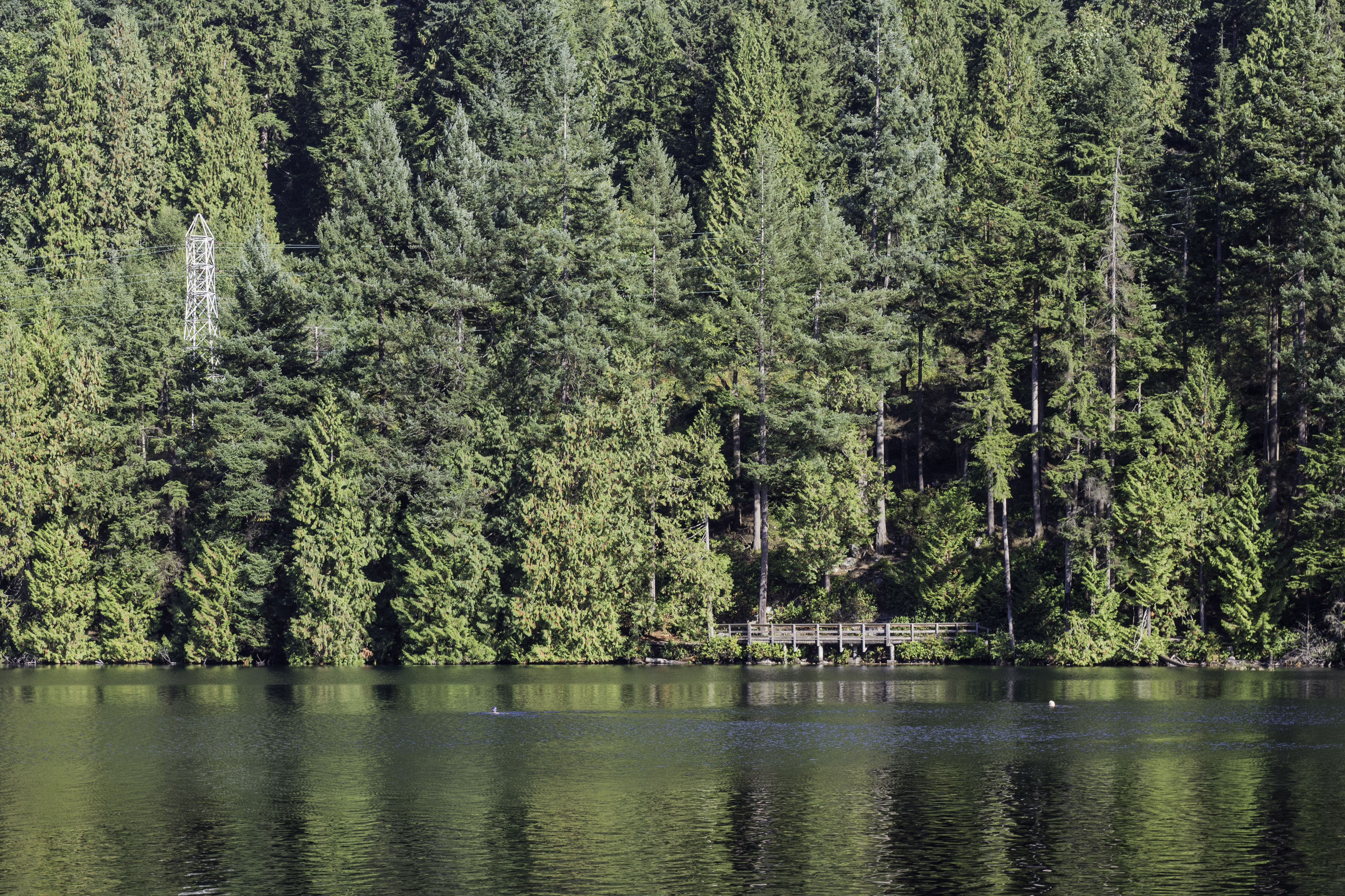Sasamat Lake - Family-friendy trail