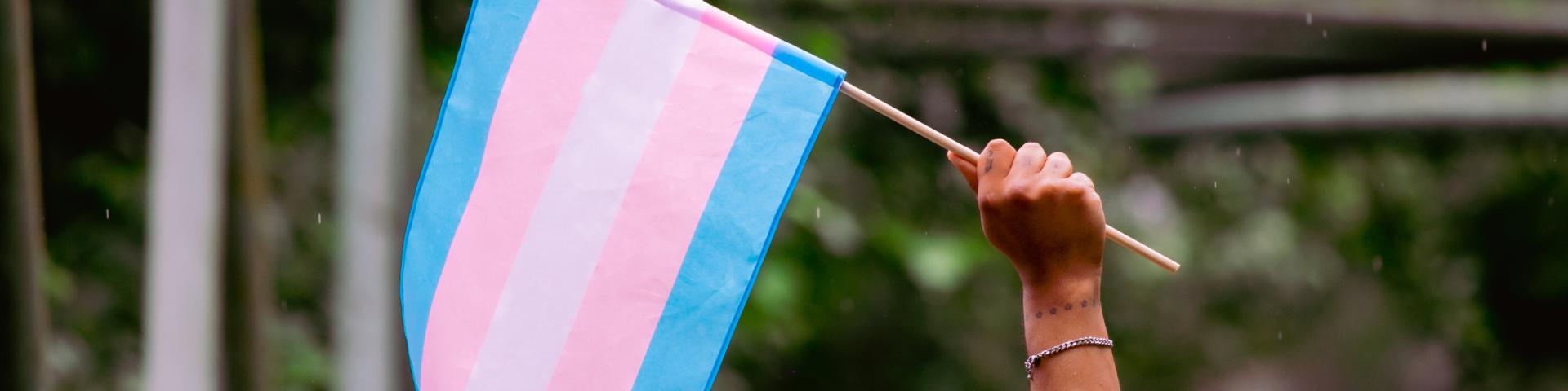 Trans Flag flying