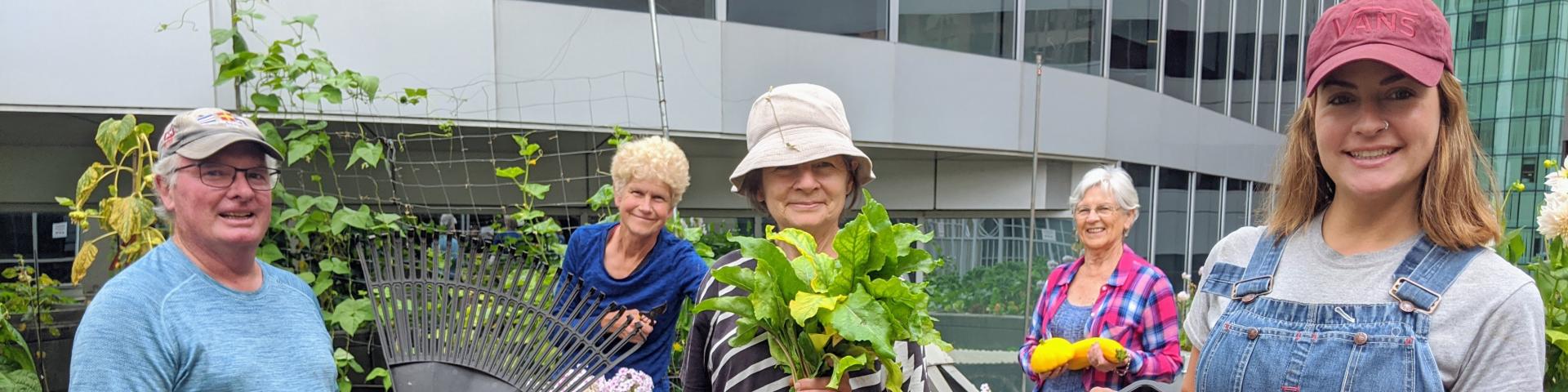 Rooftop Garden