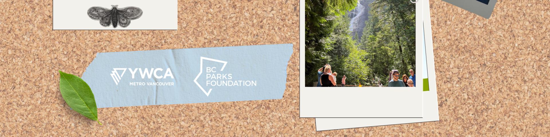 The Nature Zone 2025