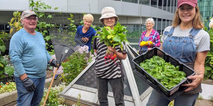 Rooftop Garden