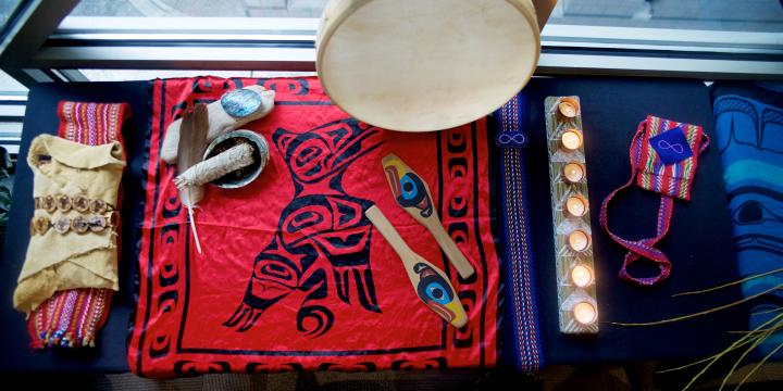 Indigenous mentorship