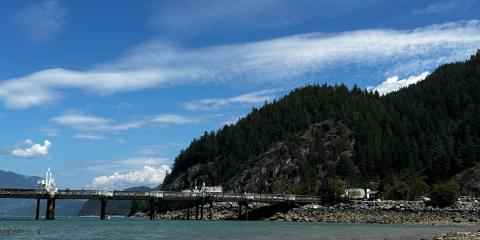 The Nature Zone 2025. Photo taken by participant.