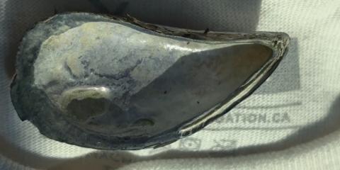 The Nature Zone 2025. Photo taken by participant.