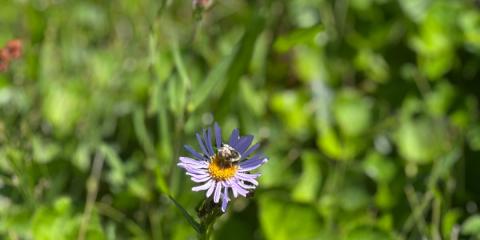 The Nature Zone 2025. Photo taken by participant.