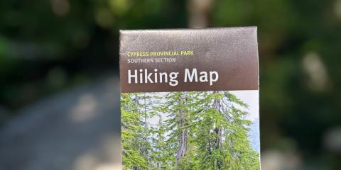 The Nature Zone 2025. Photo taken by participant.