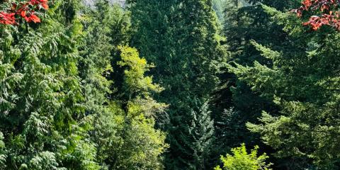 The Nature Zone 2025. Photo taken by participant.