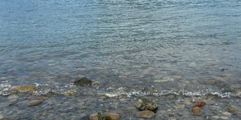 The Nature Zone 2025. Photo taken by participant.