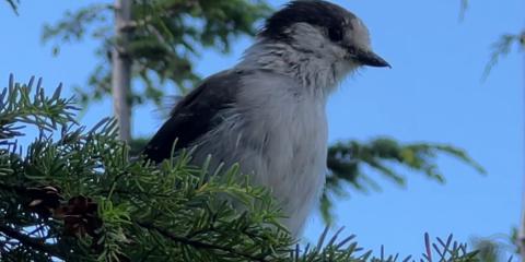 The Nature Zone 2025. Photo taken by participant.