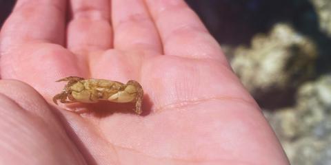 The Nature Zone 2025. Photo taken by participant.