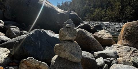 The Nature Zone 2025. Photo taken by participant.