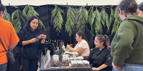 Rhythms of Resilience 2025