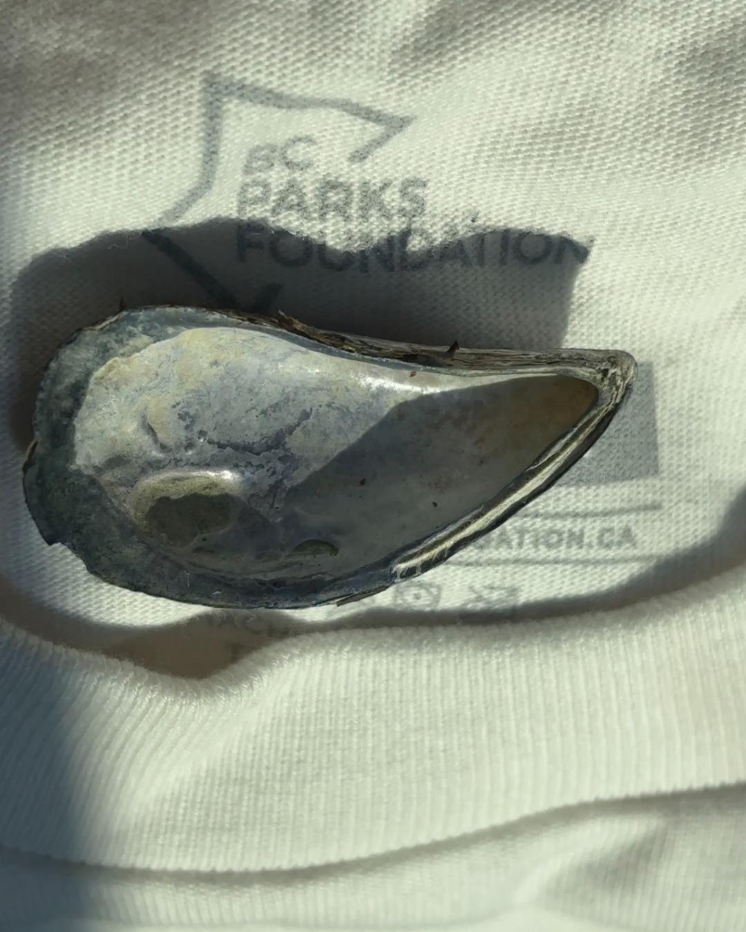 The Nature Zone 2025. Photo taken by participant.