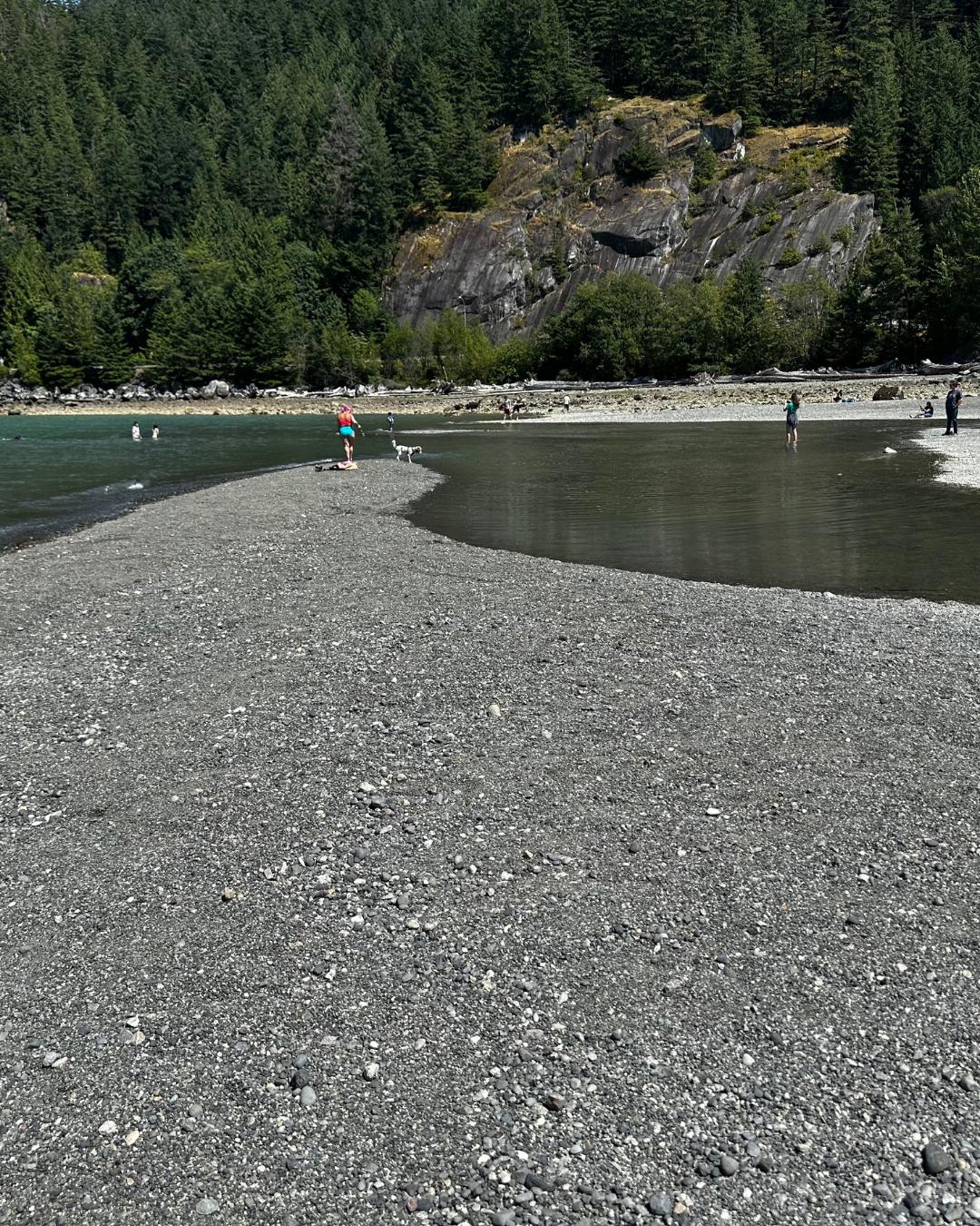 The Nature Zone 2025. Photo taken by participant.