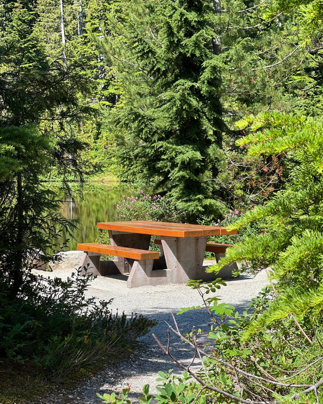 The Nature Zone 2025. Photo taken by participant.