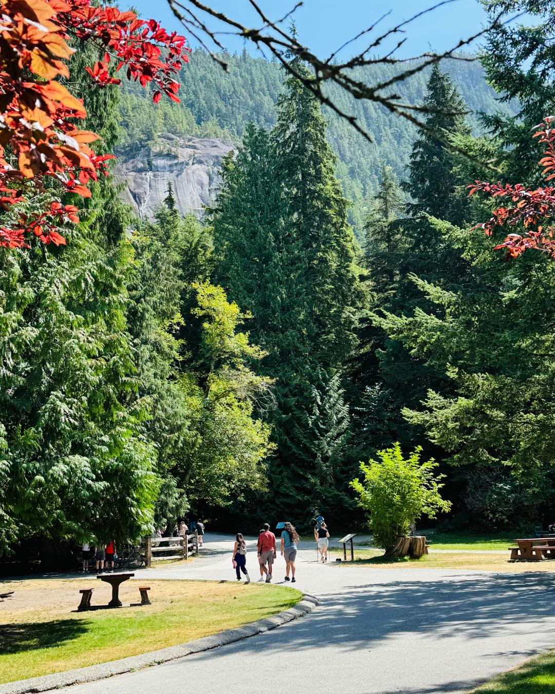 The Nature Zone 2025. Photo taken by participant.