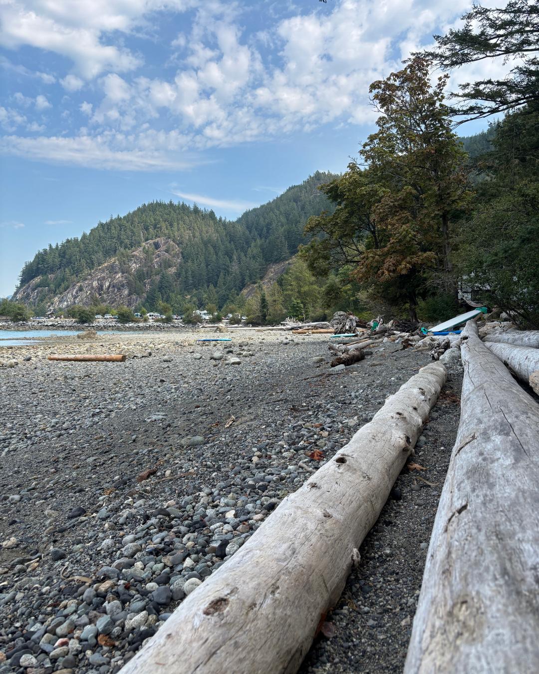 The Nature Zone 2025. Photo taken by participant.