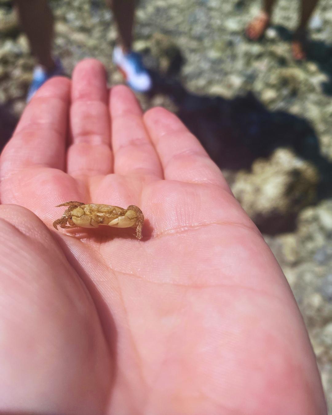 The Nature Zone 2025. Photo taken by participant.