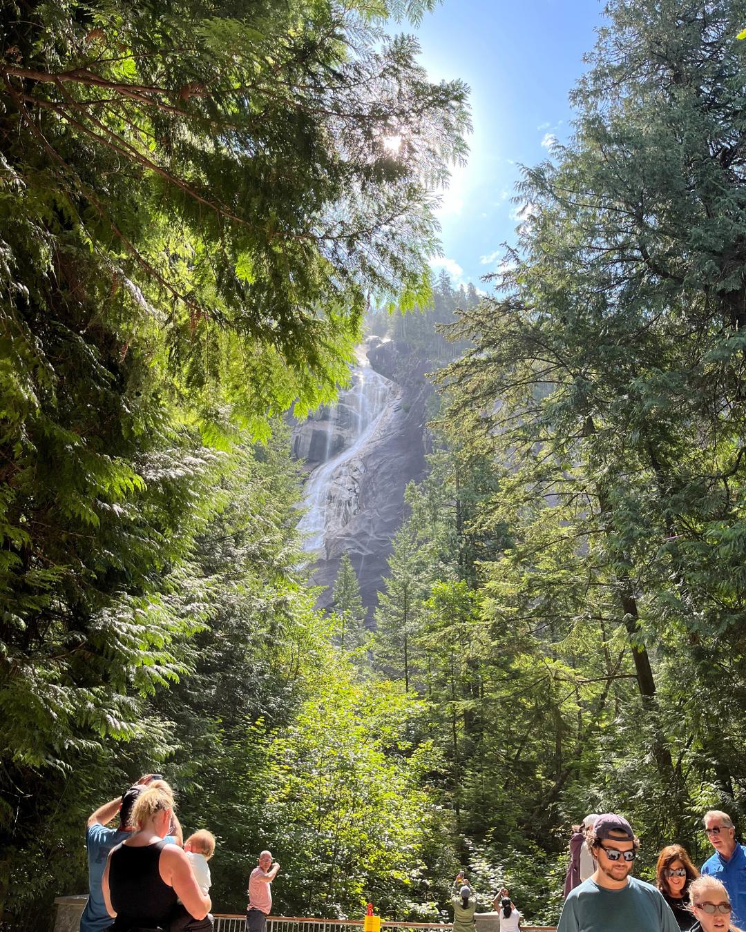 The Nature Zone 2025. Photo taken by participant.