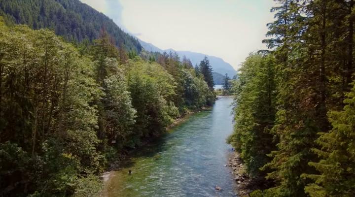 Indian River Watershed