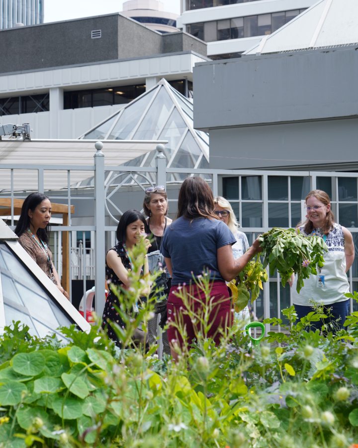 Participants learning with a master gardener in the rooftop garden session