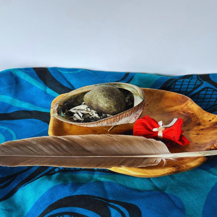 Indigenous mentorship