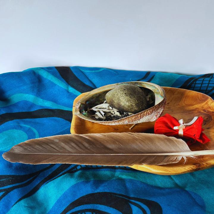 Indigenous mentorship