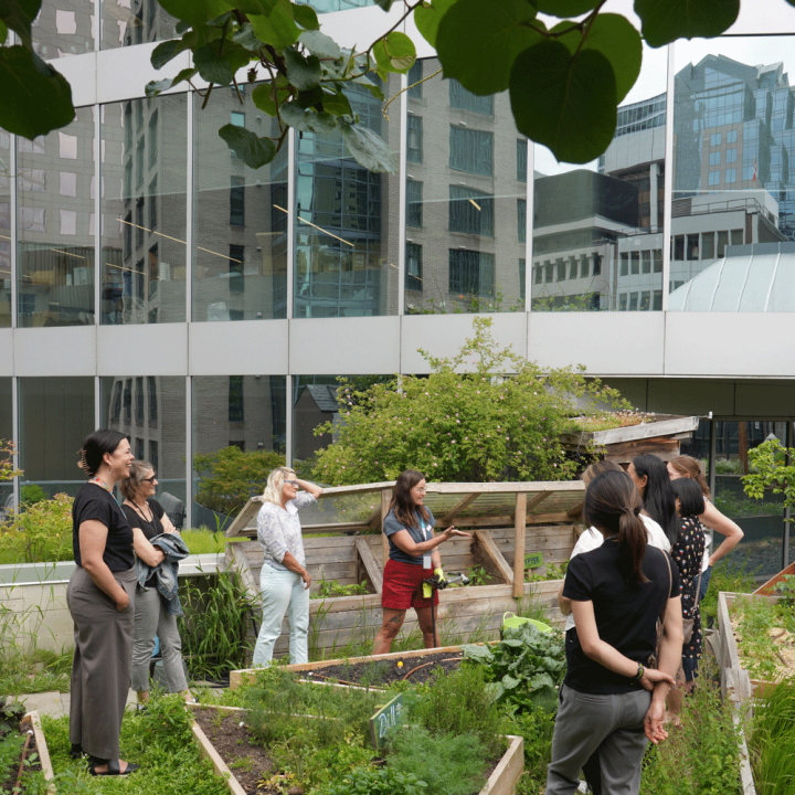 Group of participants on the Rooftop Garden attending a summer workshop