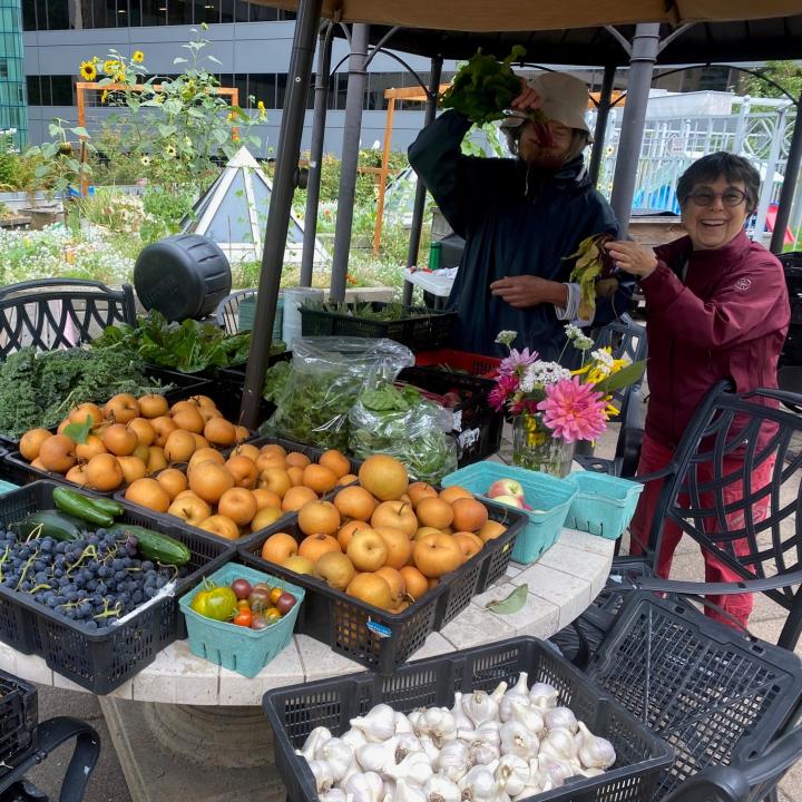 Two volunteers beside a table covered in containers and crates of vegetables, fruits, and flowers in a rooftop garden