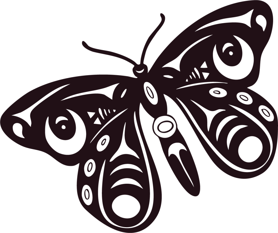 Indigenous Butterfly